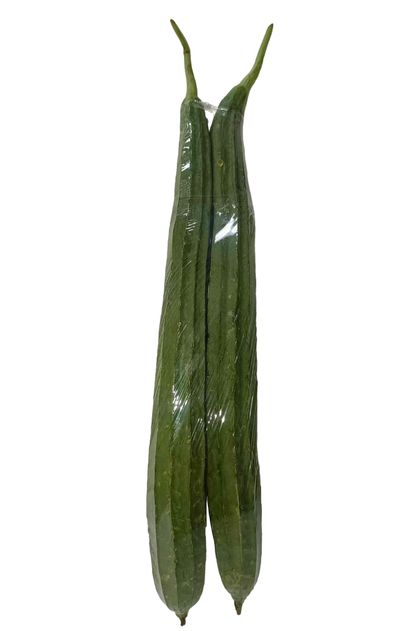 Patola