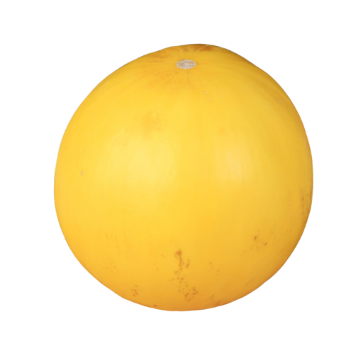Honey Dew Golden