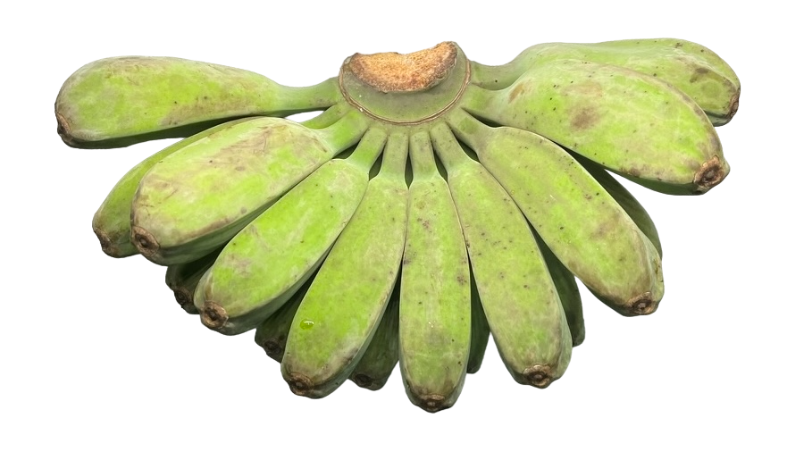 Banana Saba