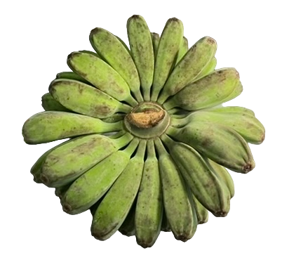 Banana Saba