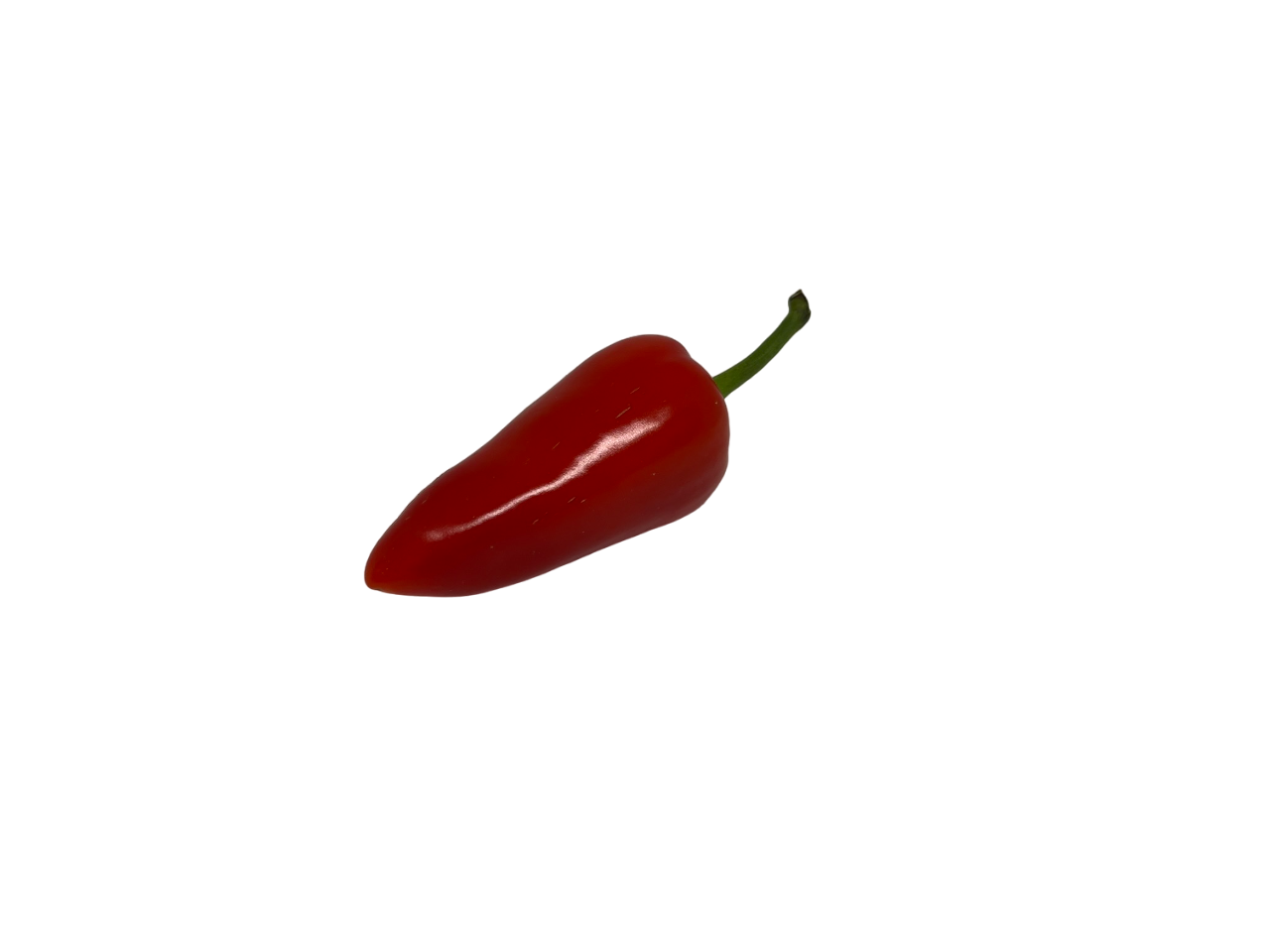 Bell Pepper Sultan