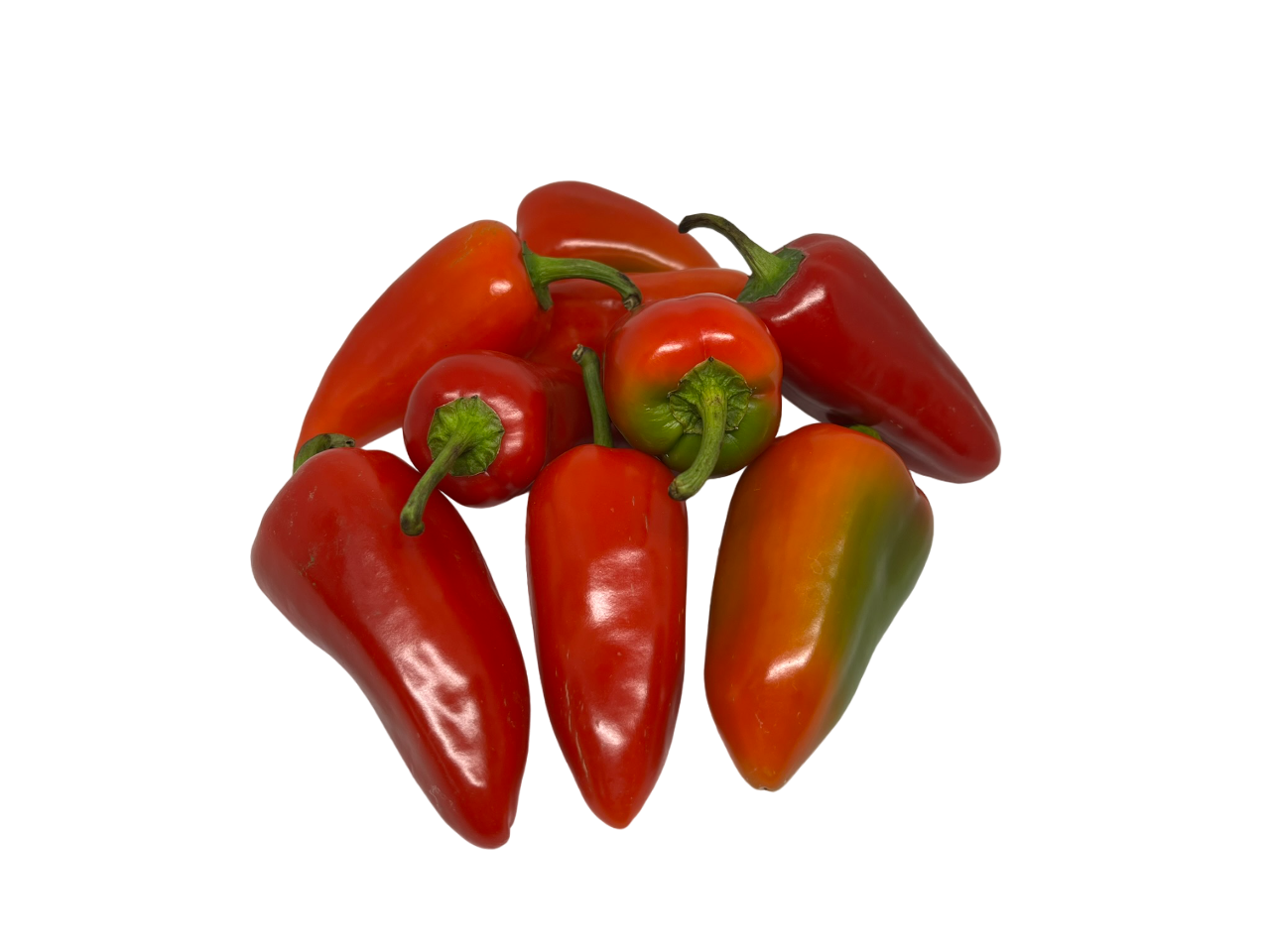 Bell Pepper Sultan