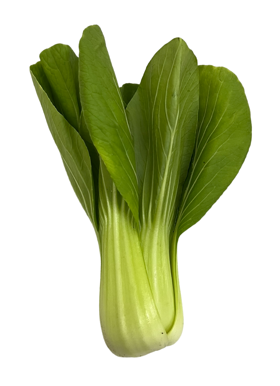 Bok Choy