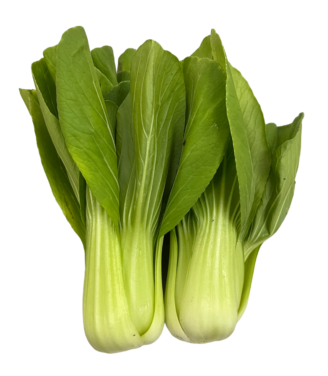 Bok Choy