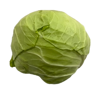 Cabbage