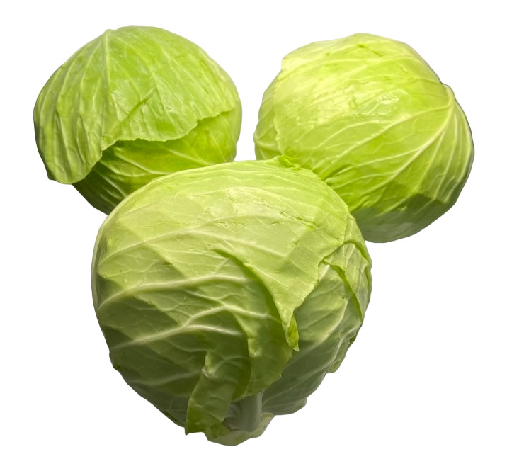 Cabbage