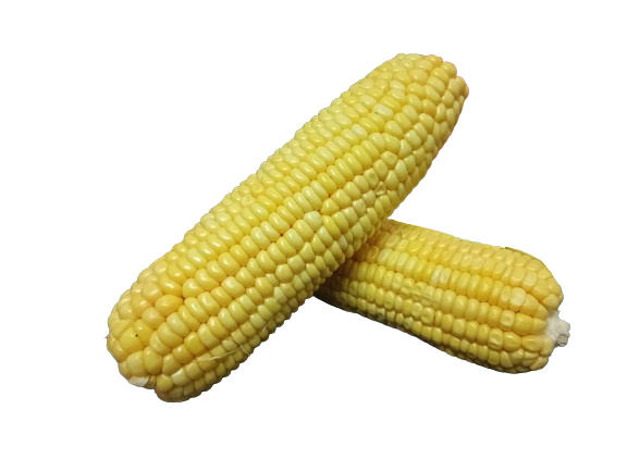 Sweet Corn - Yellow