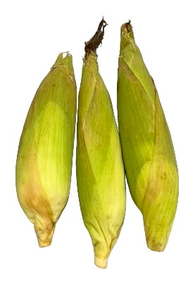 Sweet Corn - Yellow