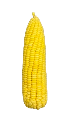Sweet Corn - Yellow