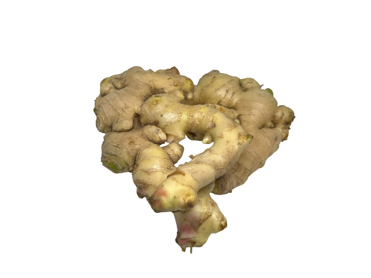 Ginger