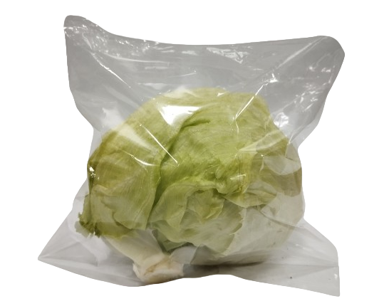 Lettuce Iceberg