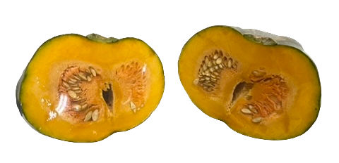 Squash Half
