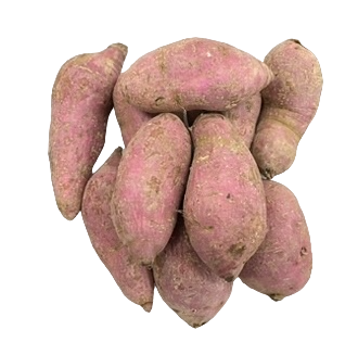 Kamote