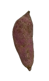 Kamote