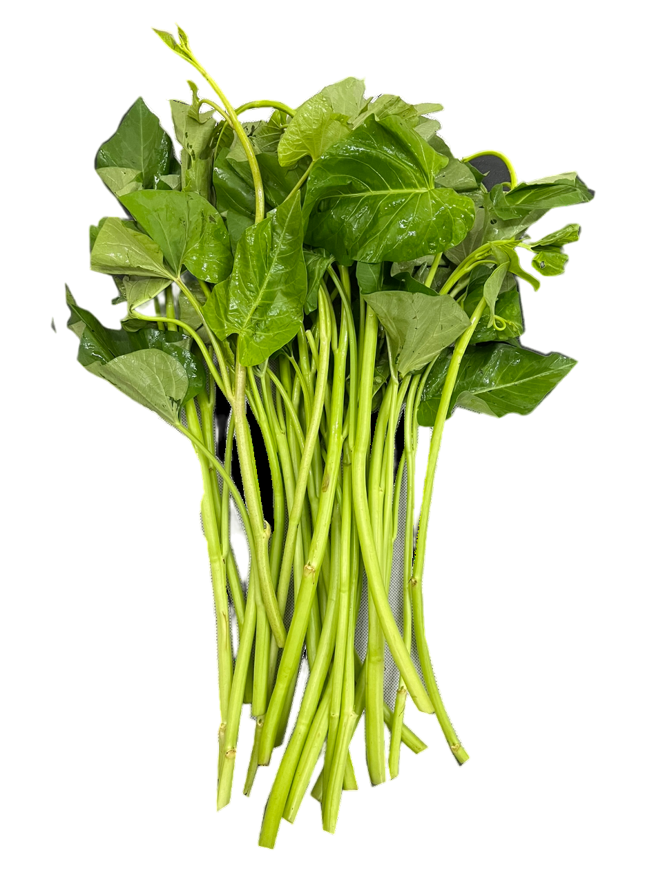 Kangkong