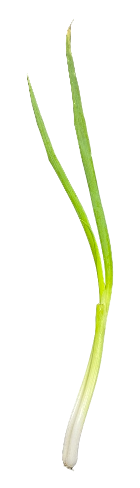 Leeks