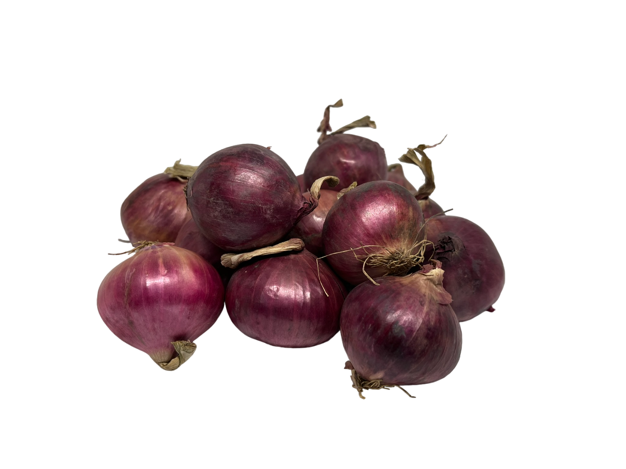 Onion Red