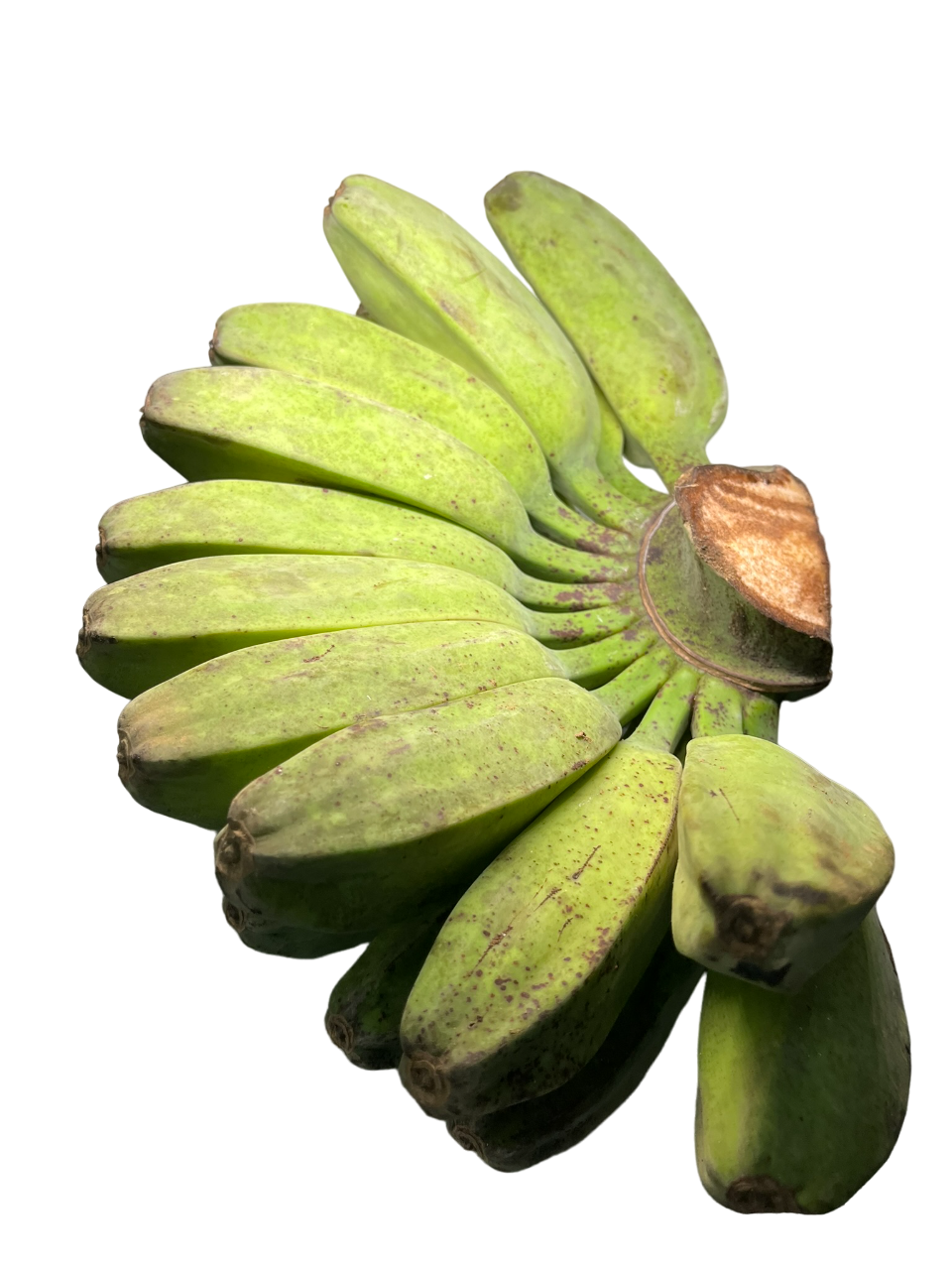 Banana Saba