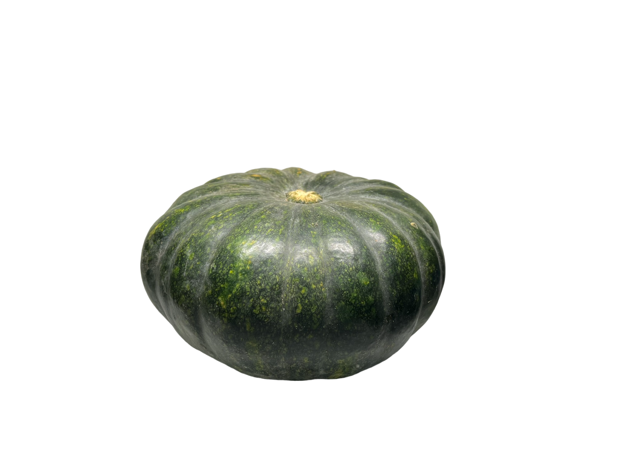 Squash Half