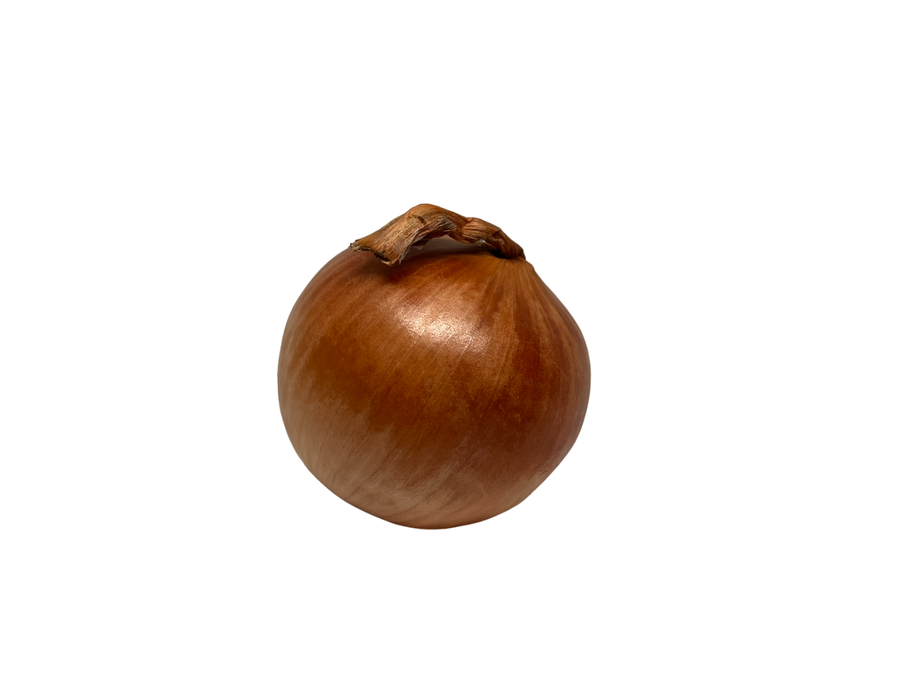 Onion White