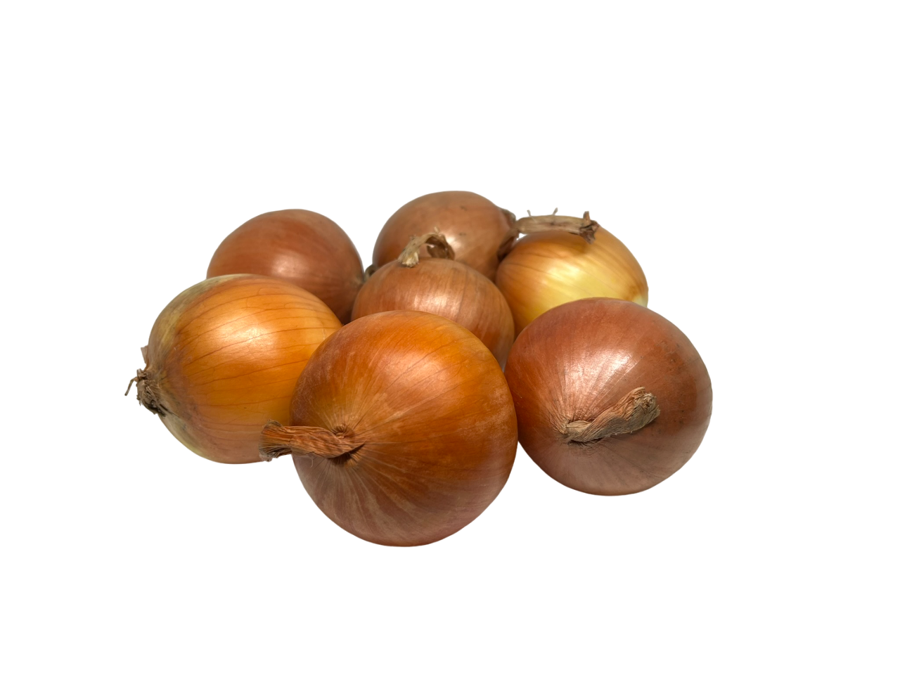 Onion White