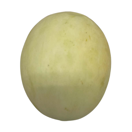 Honey Dew White