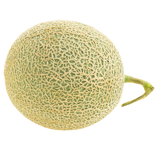 Melon