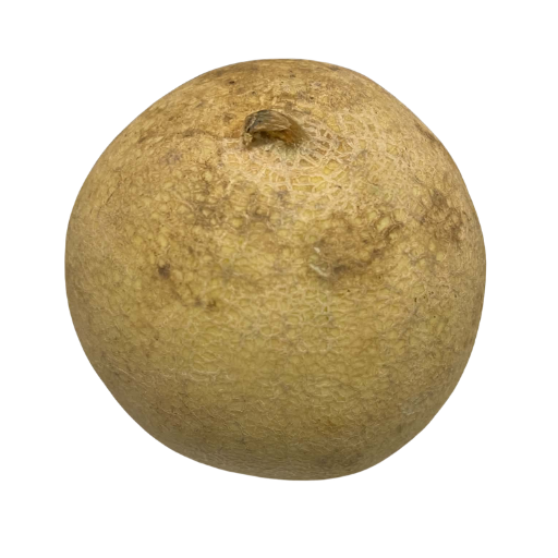 Melon