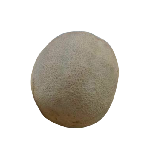 Melon