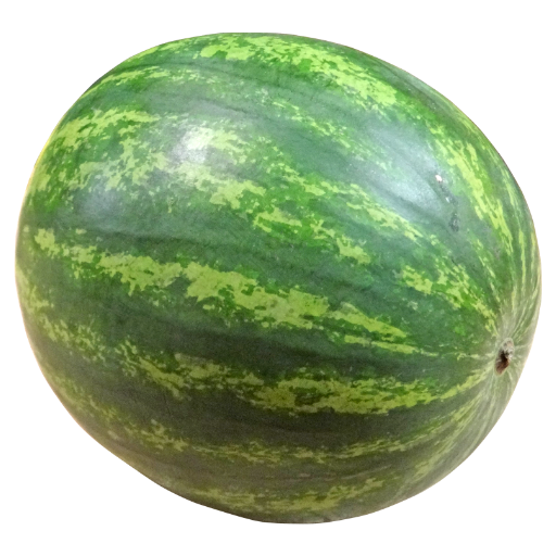 Watermelon Oblong Yellow