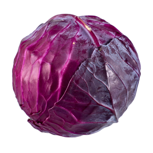 Cabbage Red