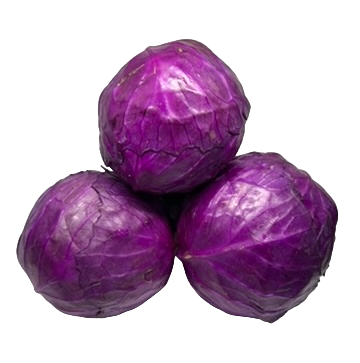 Cabbage Red