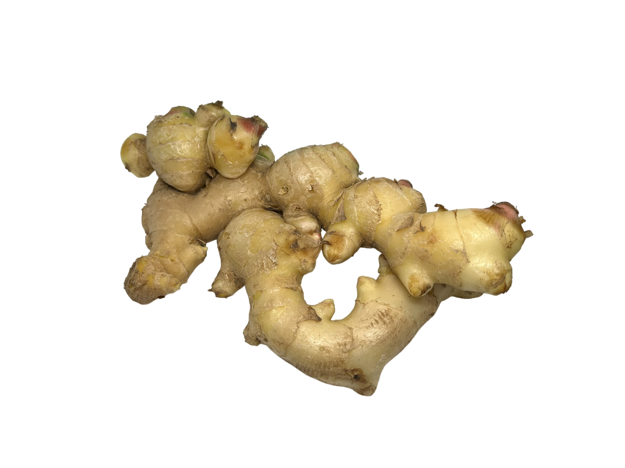 Ginger