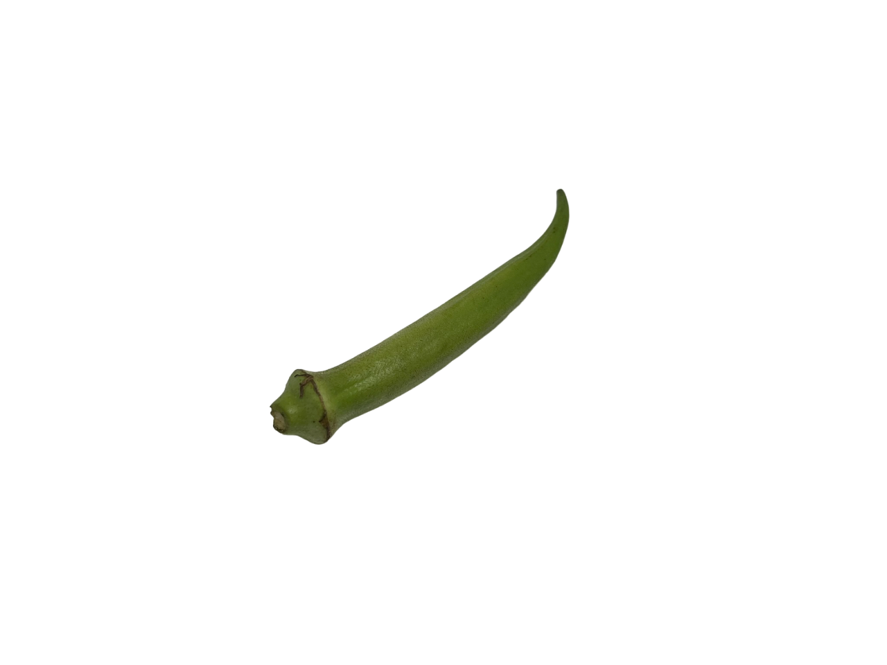Okra