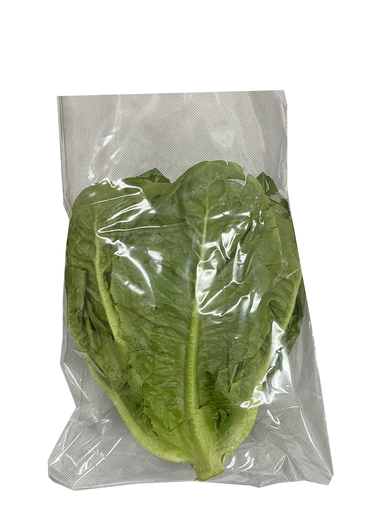 Lettuce Romaine