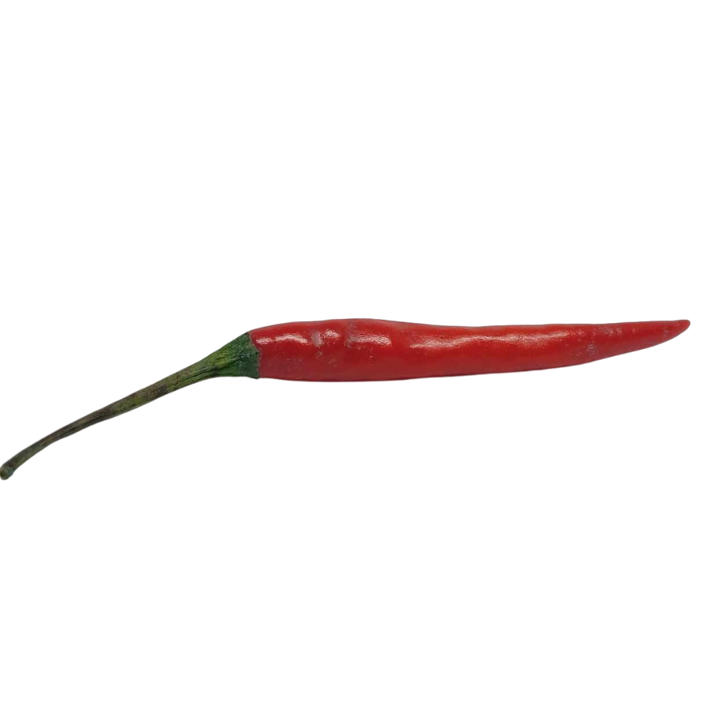 Sili Labuyo