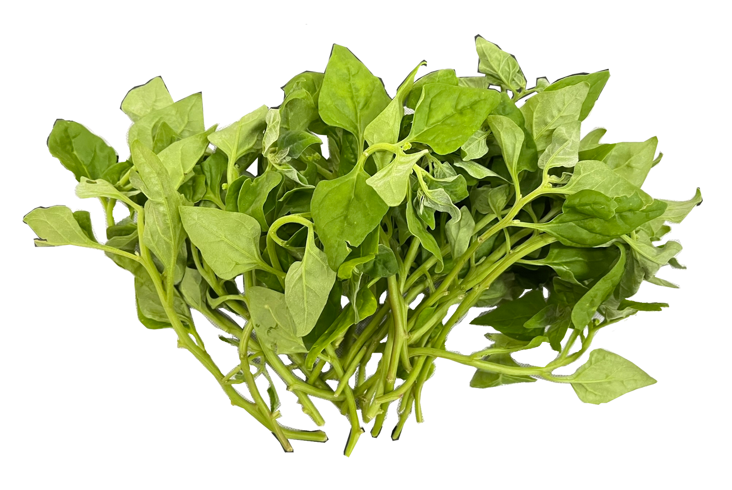 Spinach