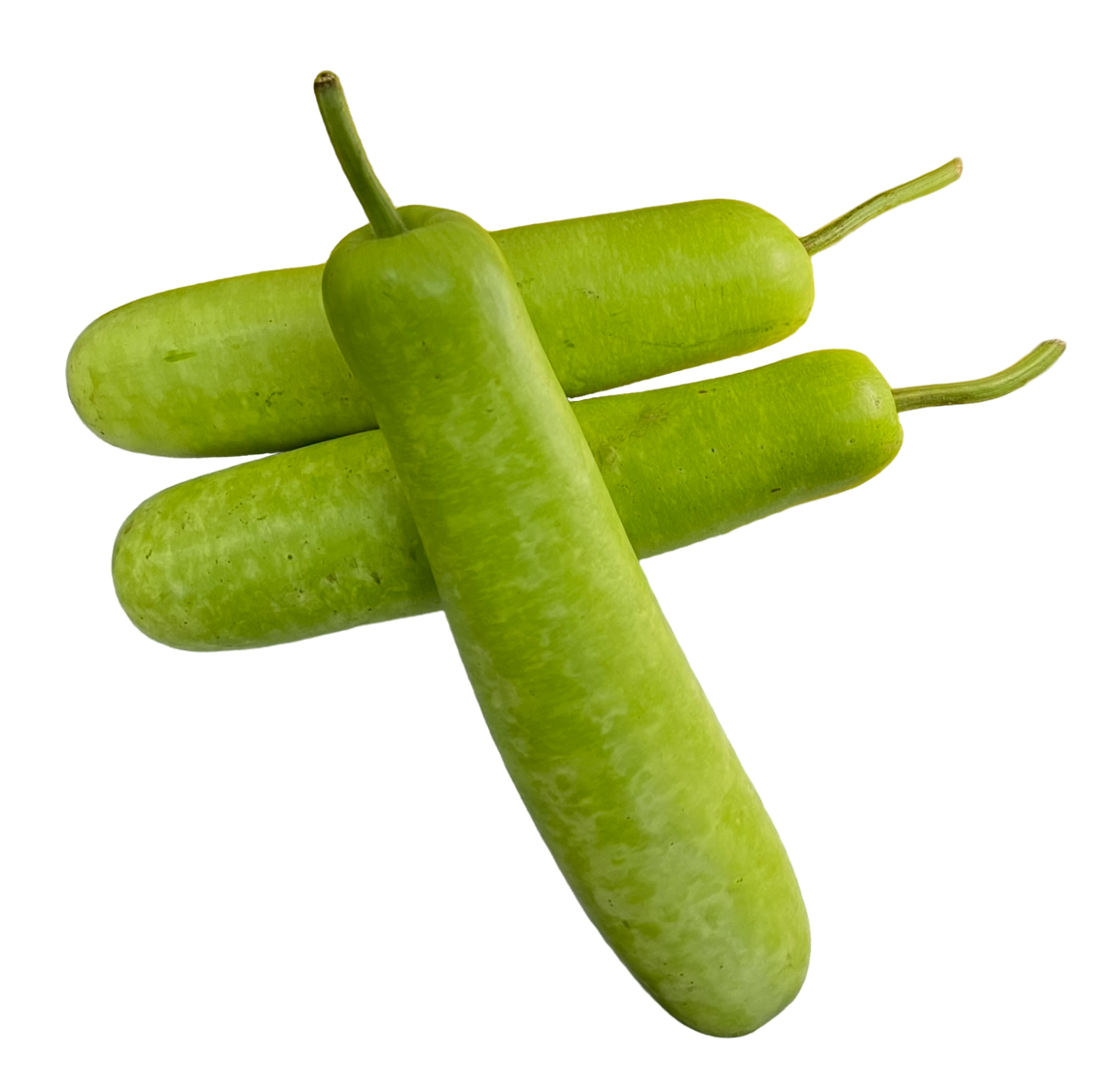 Upo Whole